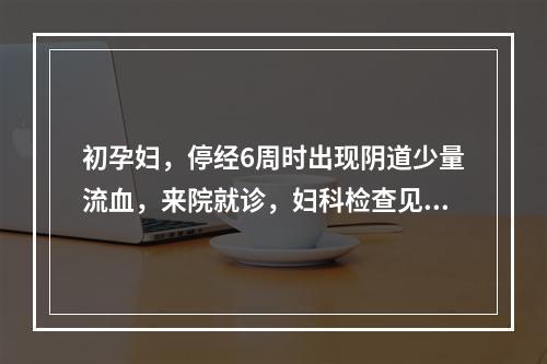 初孕妇，停经6周时出现阴道少量流血，来院就诊，妇科检查见子宫