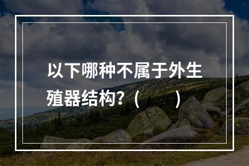 以下哪种不属于外生殖器结构？(　　)