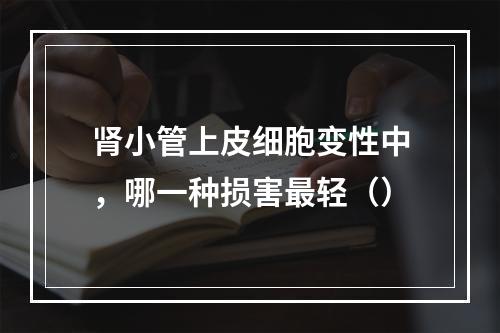 肾小管上皮细胞变性中，哪一种损害最轻（）