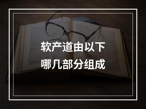 软产道由以下哪几部分组成