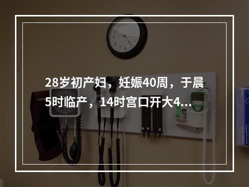 28岁初产妇，妊娠40周，于晨5时临产，14时宫口开大4cm