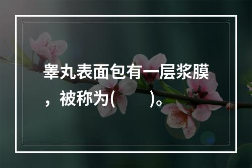 睾丸表面包有一层浆膜，被称为(　　)。