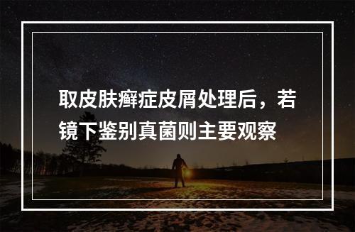 取皮肤癣症皮屑处理后，若镜下鉴别真菌则主要观察