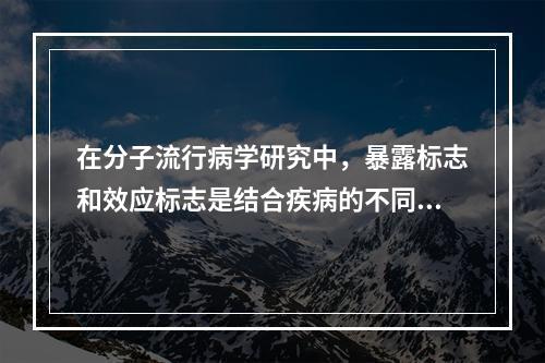 在分子流行病学研究中，暴露标志和效应标志是结合疾病的不同阶段