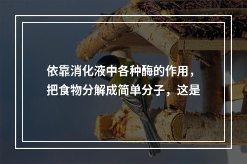 依靠消化液中各种酶的作用，把食物分解成简单分子，这是