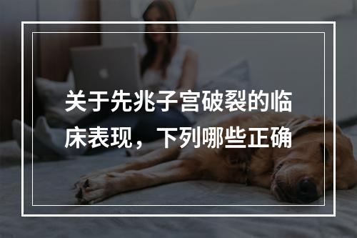 关于先兆子宫破裂的临床表现，下列哪些正确