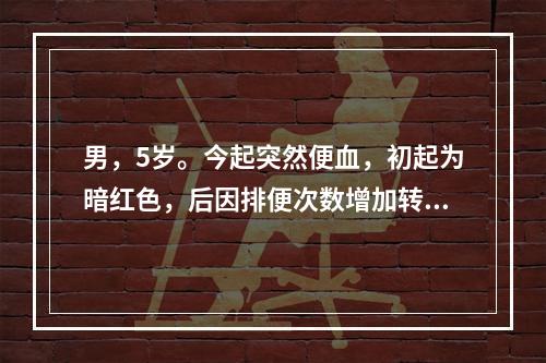 男，5岁。今起突然便血，初起为暗红色，后因排便次数增加转为鲜