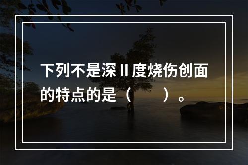 下列不是深Ⅱ度烧伤创面的特点的是（　　）。