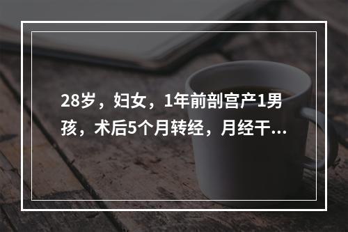 28岁，妇女，1年前剖宫产1男孩，术后5个月转经，月经干净后