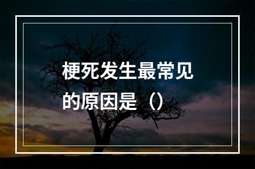 梗死发生最常见的原因是（）