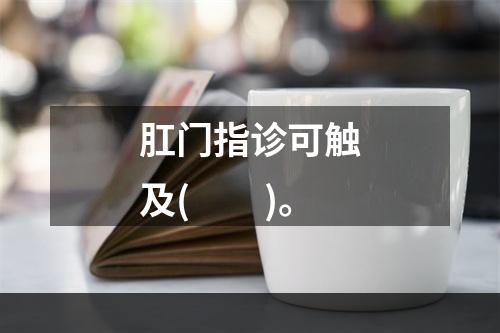 肛门指诊可触及(　　)。