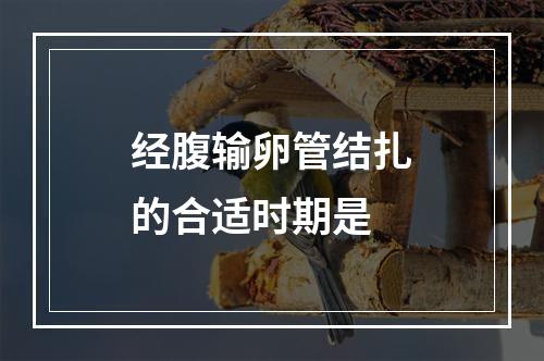 经腹输卵管结扎的合适时期是