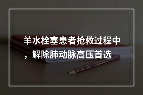 羊水栓塞患者抢救过程中，解除肺动脉高压首选