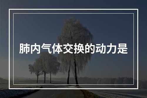 肺内气体交换的动力是