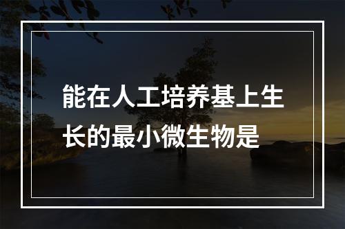 能在人工培养基上生长的最小微生物是