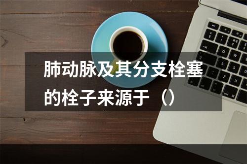 肺动脉及其分支栓塞的栓子来源于（）