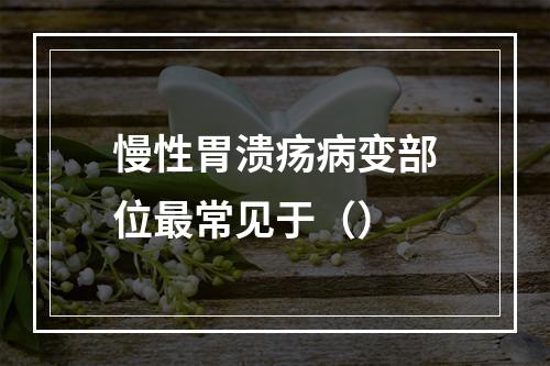 慢性胃溃疡病变部位最常见于（）