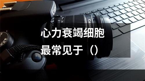 心力衰竭细胞最常见于（）