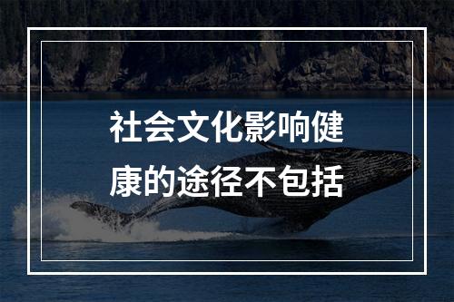 社会文化影响健康的途径不包括