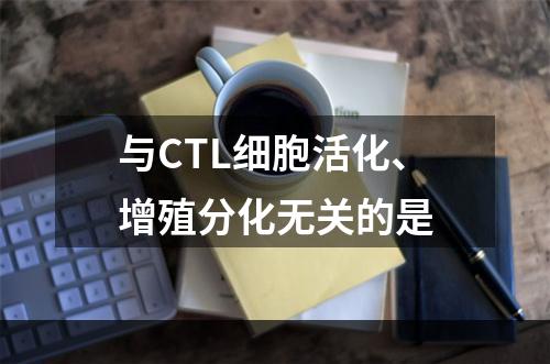 与CTL细胞活化、增殖分化无关的是