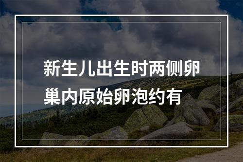 新生儿出生时两侧卵巢内原始卵泡约有