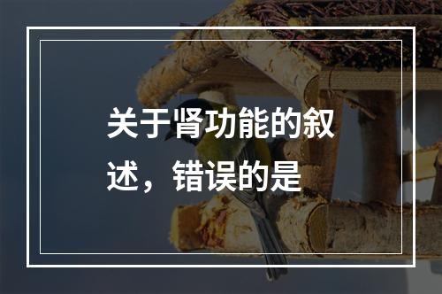 关于肾功能的叙述，错误的是