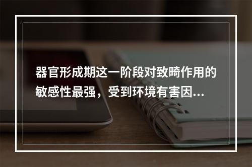 器官形成期这一阶段对致畸作用的敏感性最强，受到环境有害因素的