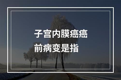 子宫内膜癌癌前病变是指