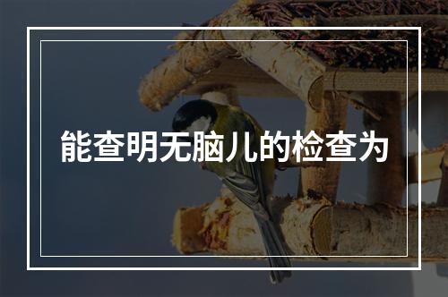 能查明无脑儿的检查为