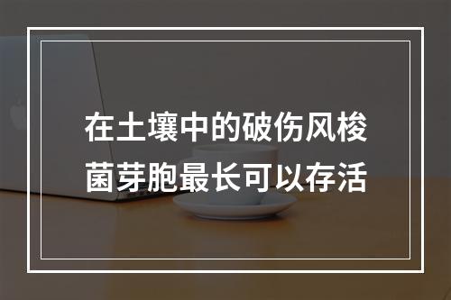 在土壤中的破伤风梭菌芽胞最长可以存活