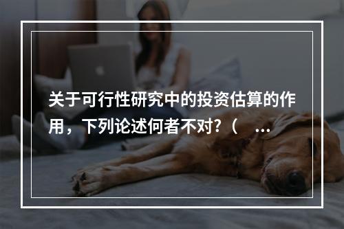 关于可行性研究中的投资估算的作用，下列论述何者不对?（　　