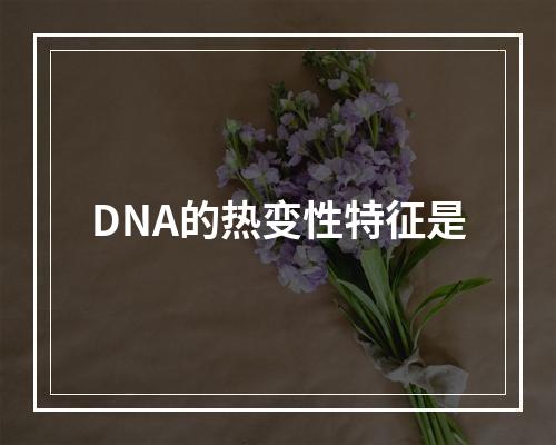 DNA的热变性特征是