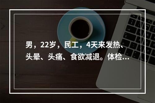 男，22岁，民工，4天来发热、头晕、头痛、食欲减退。体检皮肤