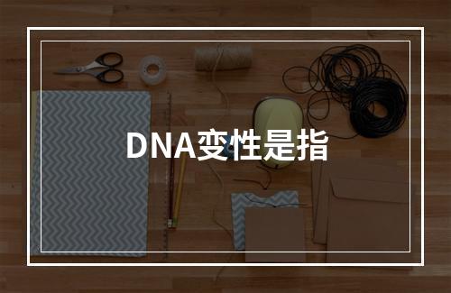 DNA变性是指