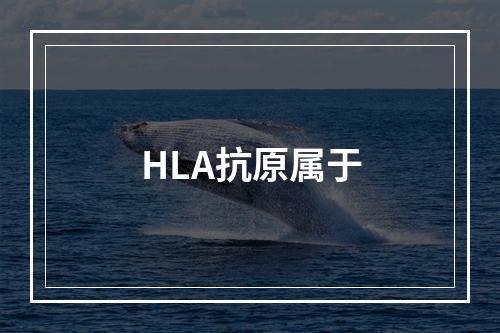 HLA抗原属于