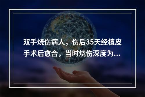 双手烧伤病人，伤后35天经植皮手术后愈合，当时烧伤深度为（　