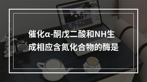 催化α-酮戊二酸和NH生成相应含氮化合物的酶是