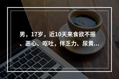 男，17岁，近10天来食欲不振、恶心、呕吐，伴乏力、尿黄来医