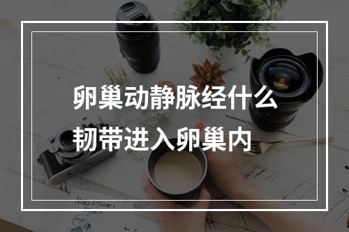 卵巢动静脉经什么韧带进入卵巢内