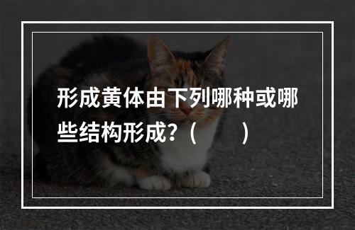 形成黄体由下列哪种或哪些结构形成？(　　)