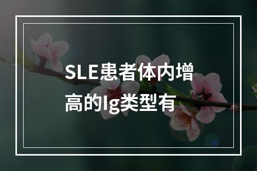 SLE患者体内增高的Ig类型有