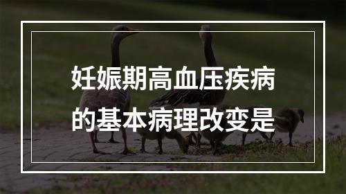 妊娠期高血压疾病的基本病理改变是