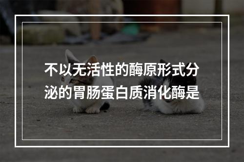 不以无活性的酶原形式分泌的胃肠蛋白质消化酶是