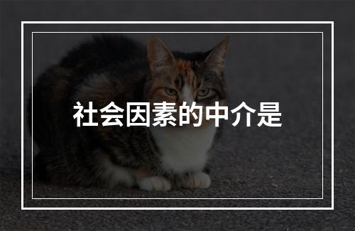 社会因素的中介是