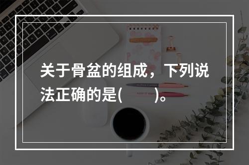 关于骨盆的组成，下列说法正确的是(　　)。