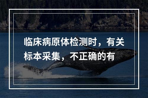 临床病原体检测时，有关标本采集，不正确的有