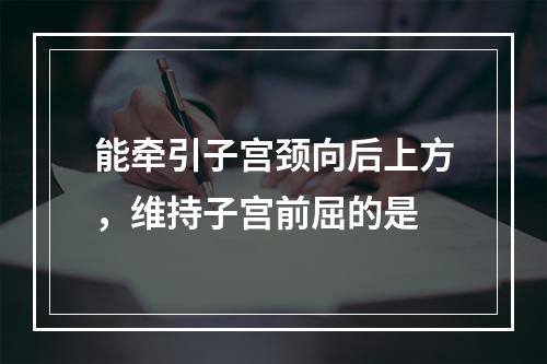 能牵引子宫颈向后上方，维持子宫前屈的是