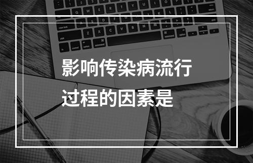 影响传染病流行过程的因素是