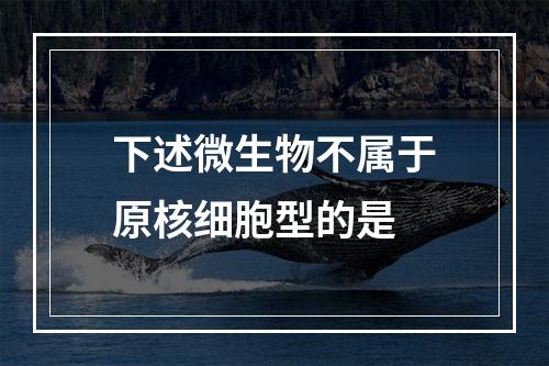 下述微生物不属于原核细胞型的是