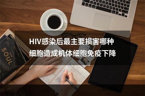 HIV感染后最主要损害哪种细胞造成机体细胞免疫下降